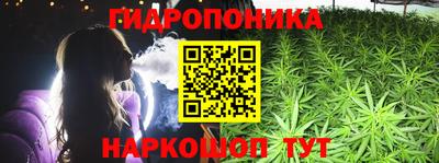 сатива Краснокаменск