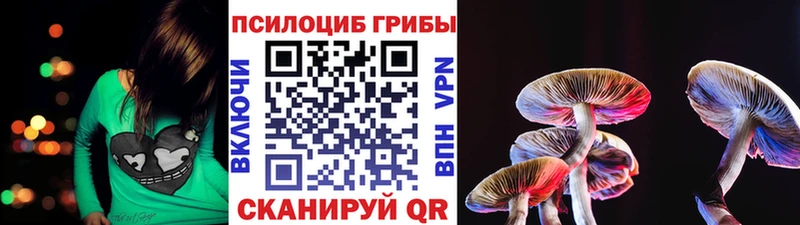 Псилоцибиновые грибы мицелий Тюмень