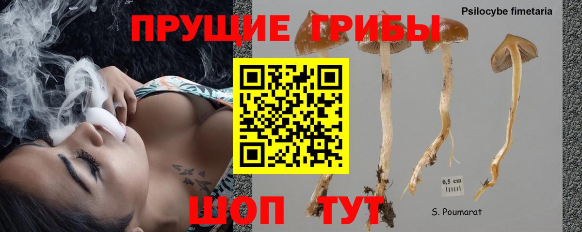 Галлюциногенные грибы мицелий  Тюмень 