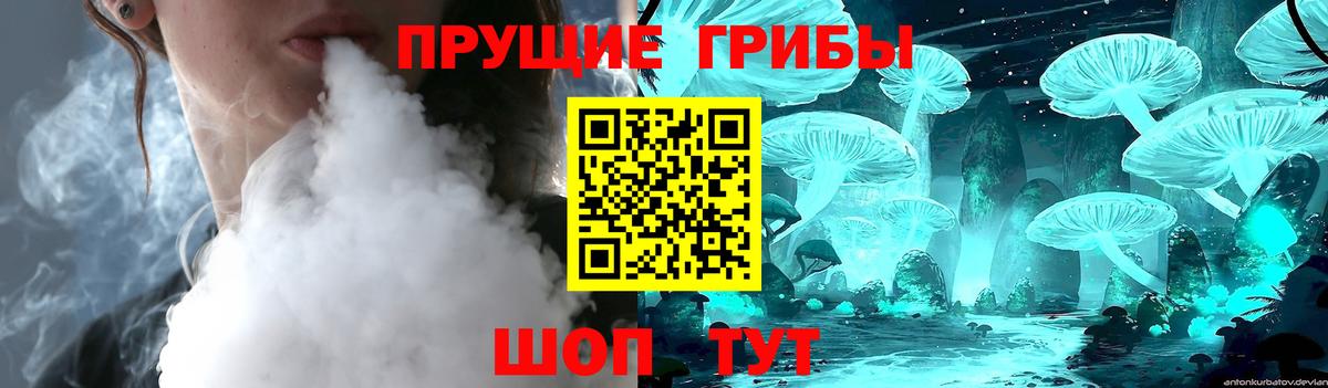 Псилоцибиновые грибы GOLDEN TEACHER  Вход с VPN  Тюмень 